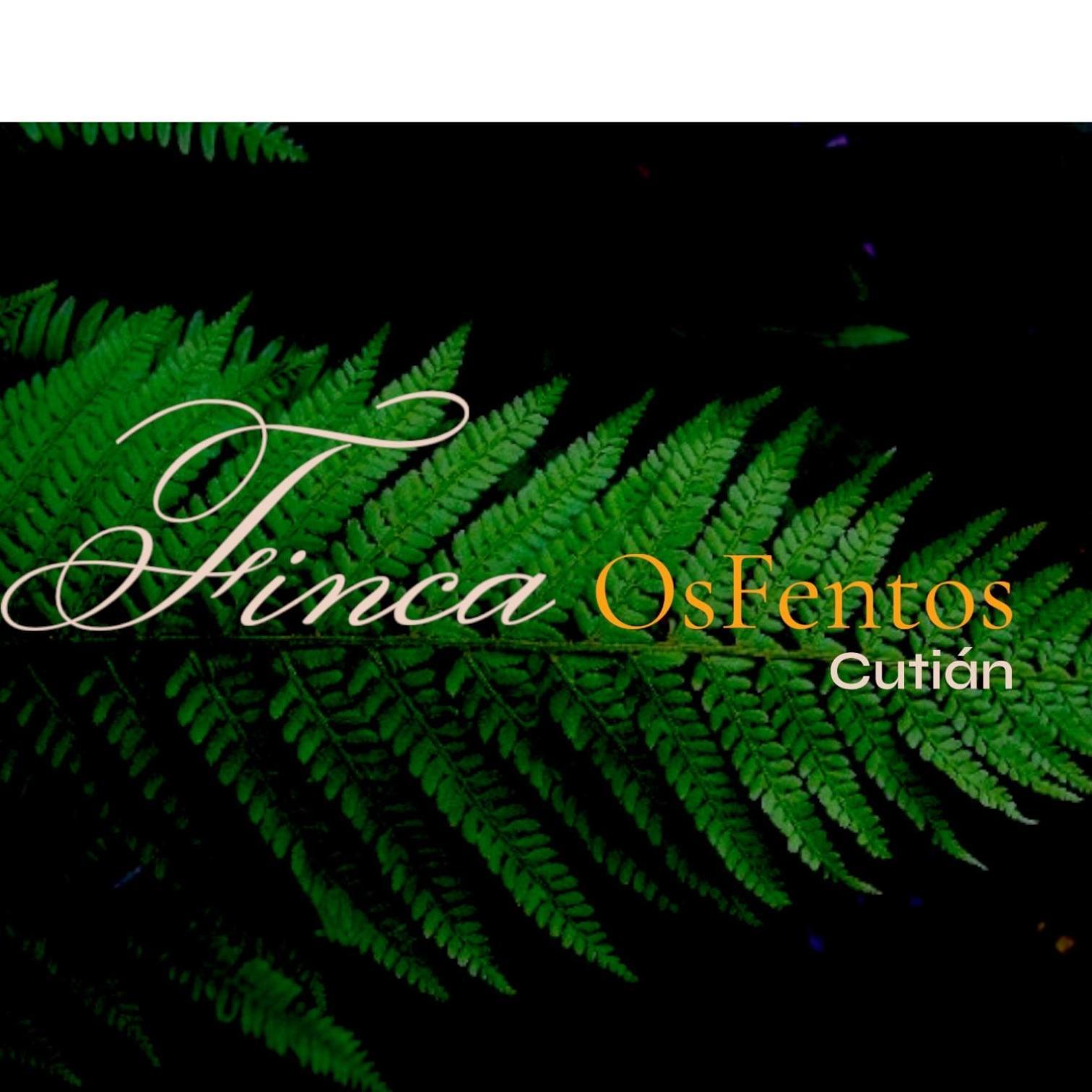 Os Fentos Bed & Breakfast Pontevedra Exterior photo